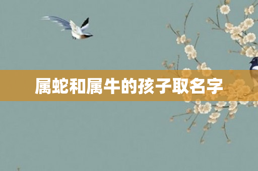属蛇和属牛的孩子取名字