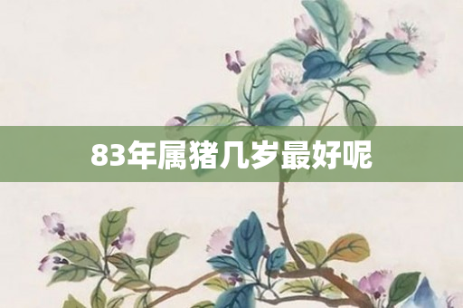 83年属猪几岁更好呢