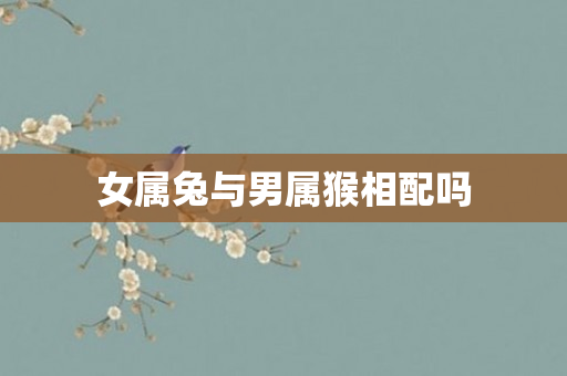 女属兔与男属猴相配吗