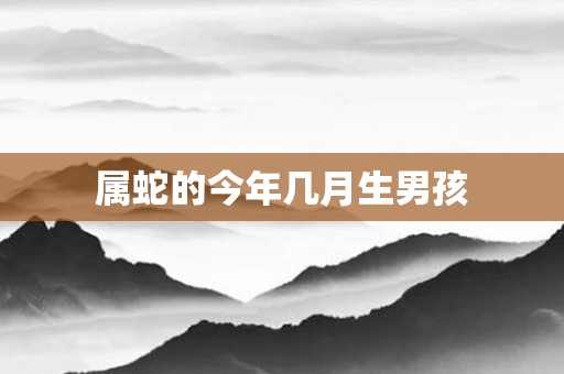 属蛇的今年几月生男孩