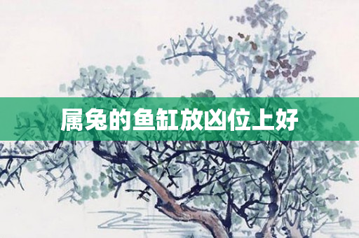 属兔的鱼缸放凶位上好