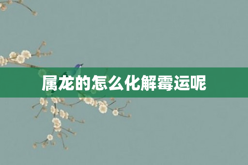 属龙的怎么化解霉运呢