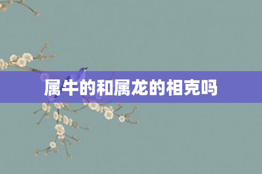 属牛的和属龙的相克吗