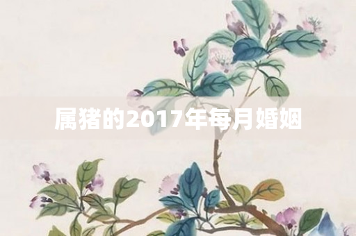 属猪的2017年每月婚姻