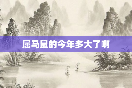 属马鼠的今年多大了啊