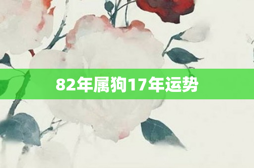 82年属狗17年运势