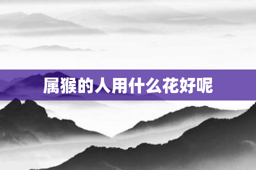 属猴的人用什么花好呢