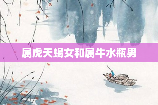 属虎天蝎女和属牛水瓶男