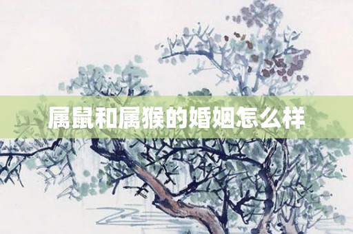 属鼠和属猴的婚姻怎么样