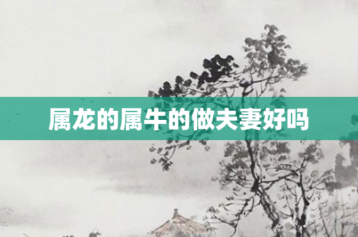 属龙的属牛的做夫妻好吗