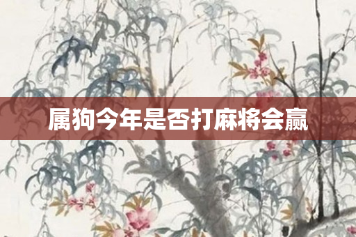 属狗今年是否打麻将会赢