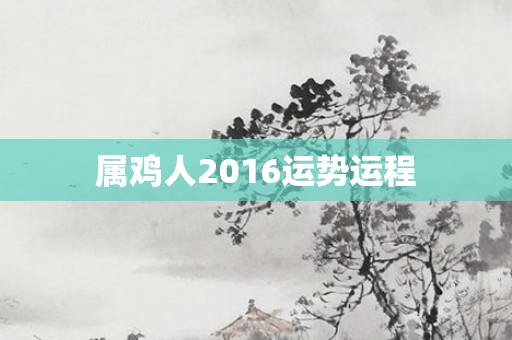 属鸡人2016运势运程