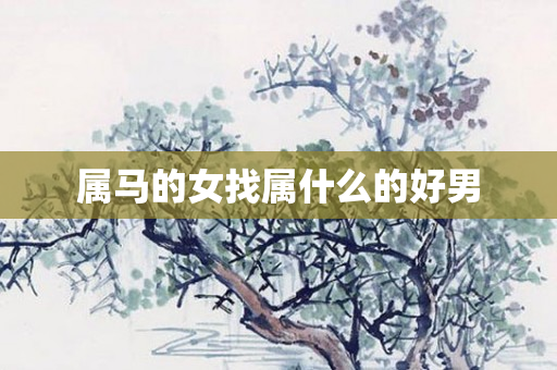 属马的女找属什么的好男