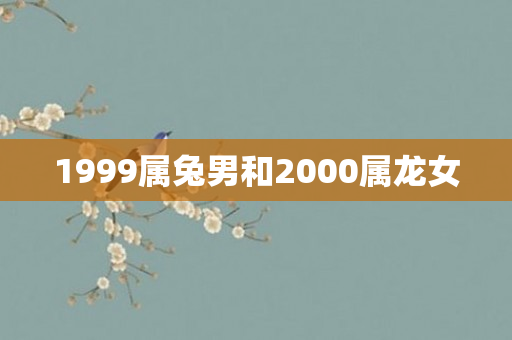 1999属兔男和2000属龙女