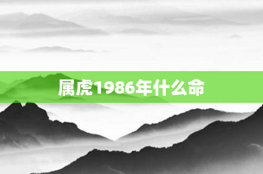 属虎1986年什么命