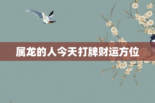 属龙的人今天打牌财运方位
