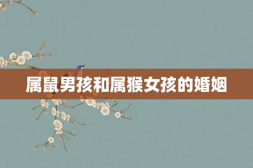 属鼠男孩和属猴女孩的婚姻