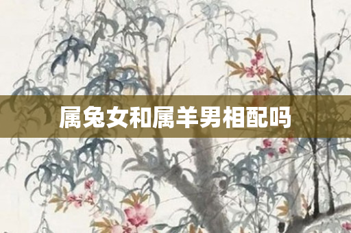 属兔女和属羊男相配吗