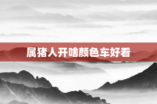 属猪人开啥颜色车好看