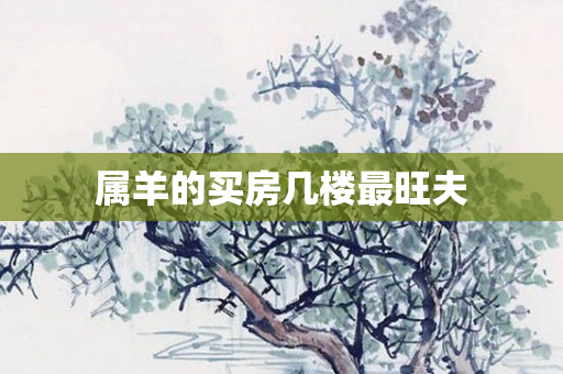 属羊的买房几楼最旺夫