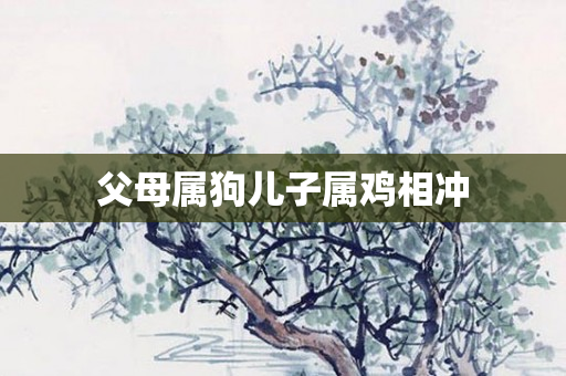 父母属狗儿子属鸡相冲