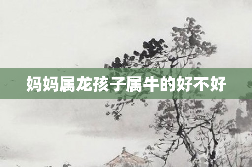 妈妈属龙孩子属牛的好不好