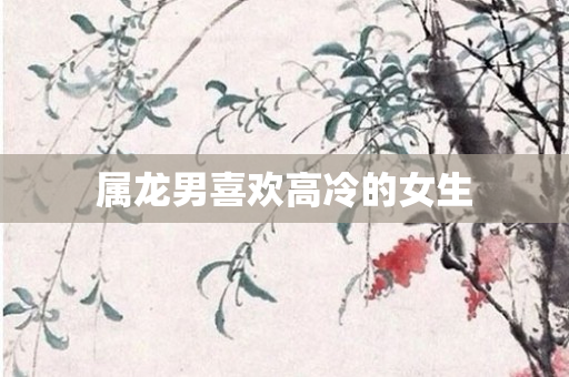 属龙男喜欢高冷的女生