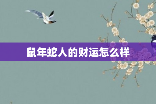 鼠年蛇人的财运怎么样