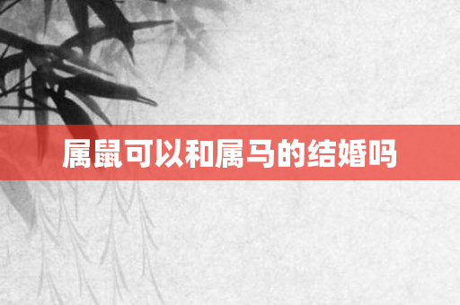 属鼠可以和属马的结婚吗