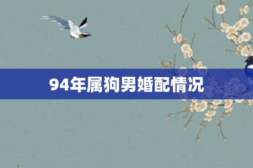 94年属狗男婚配情况