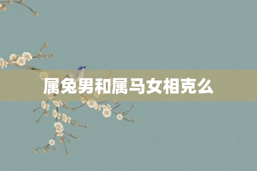 属兔男和属马女相克么