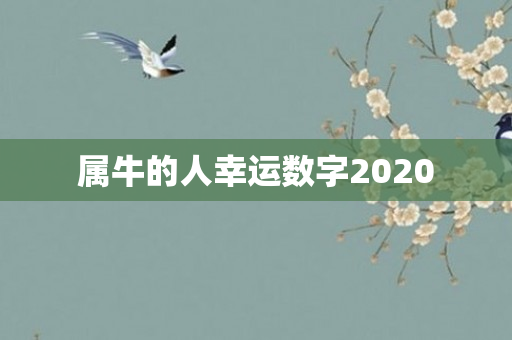属牛的人幸运数字2020