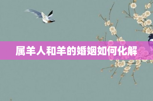 属羊人和羊的婚姻如何化解