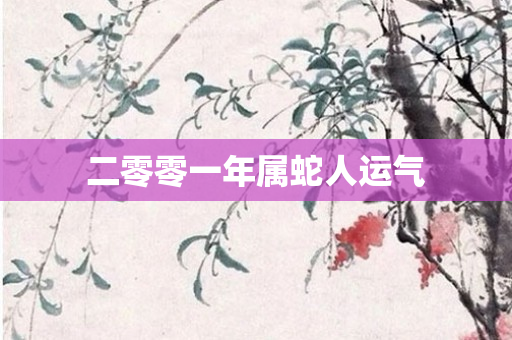 二零零一年属蛇人运气