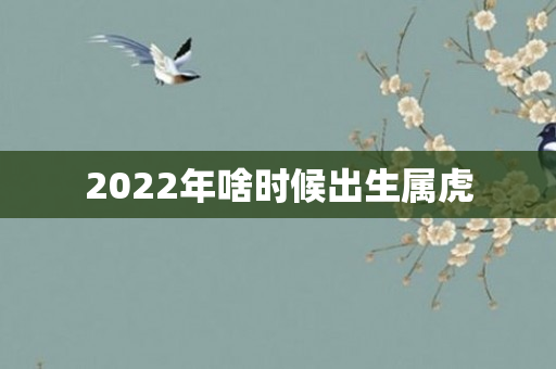 2022年啥时候出生属虎