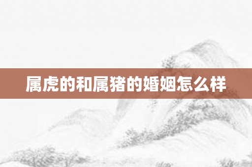 属虎的和属猪的婚姻怎么样