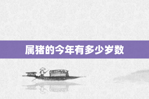 属猪的今年有多少岁数