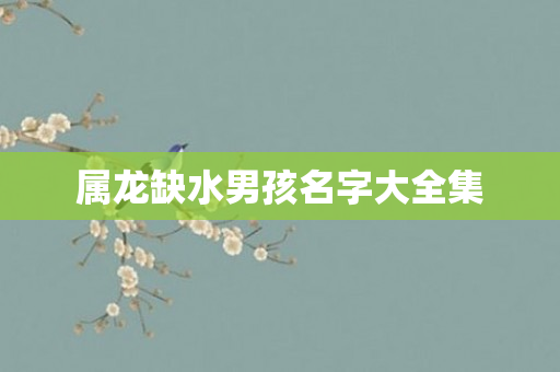 属龙缺水男孩名字大全集