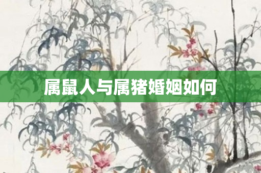 属鼠人与属猪婚姻如何