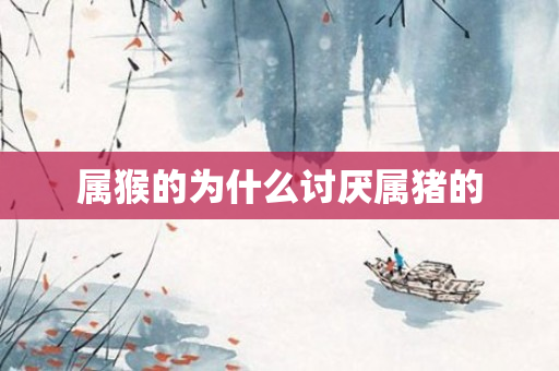 属猴的为什么讨厌属猪的