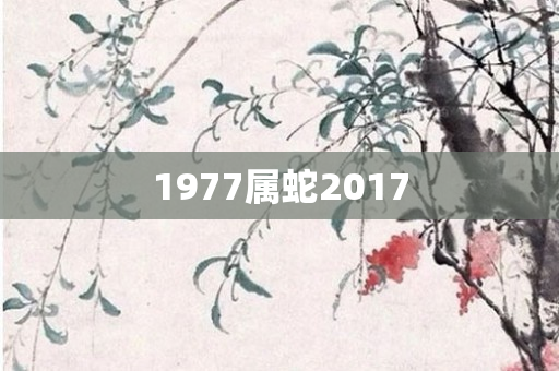 1977属蛇2017