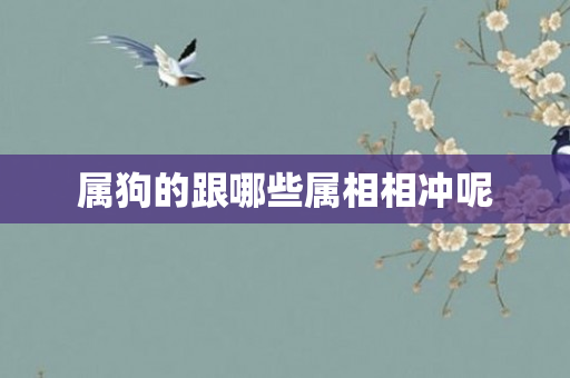 属狗的跟哪些属相相冲呢