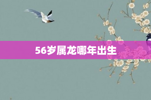 56岁属龙哪年出生