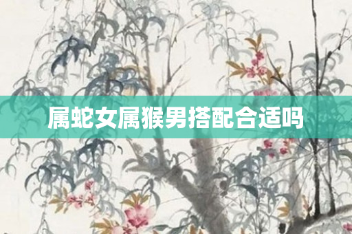 属蛇女属猴男搭配合适吗