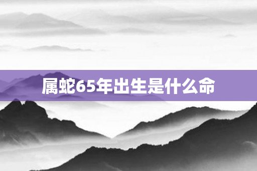 属蛇65年出生是什么命