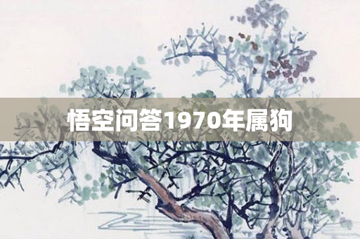 悟空问答1970年属狗