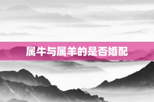 属牛与属羊的是否婚配