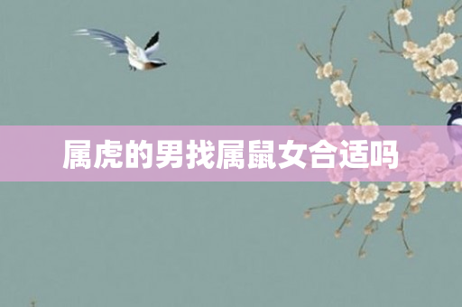 属虎的男找属鼠女合适吗