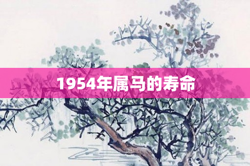 1954年属马的寿命