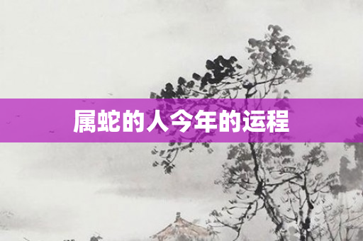 属蛇的人今年的运程